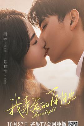 seo排名优化分金手指花总30